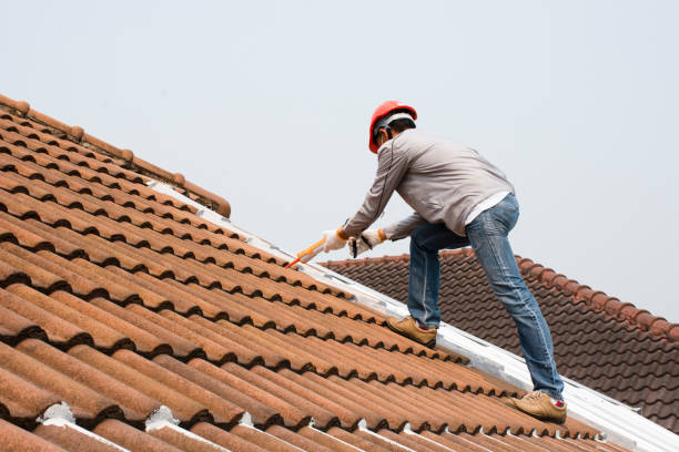 Best Roof Coating and Sealing  in Riverse, ID