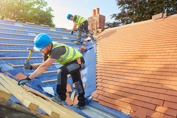 Best Skylight Installation and Repair  in Riverse, ID